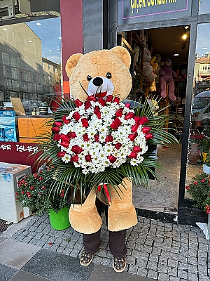 Ayck Kucanda Papatya ve Gl 